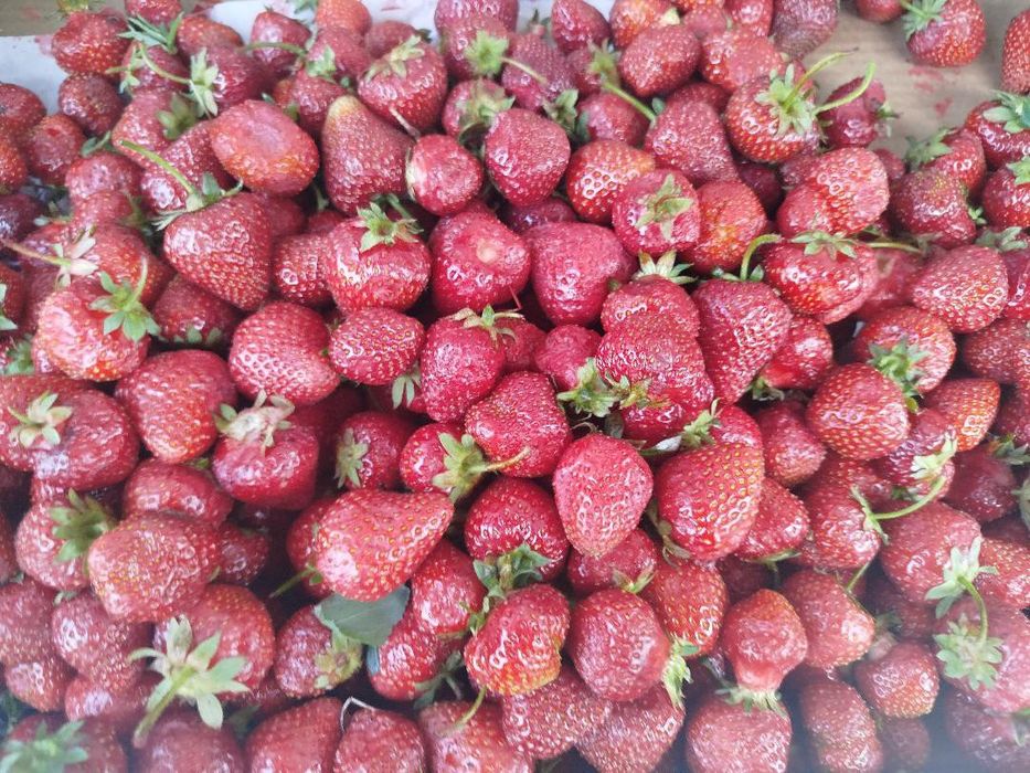 Продам клубнику.