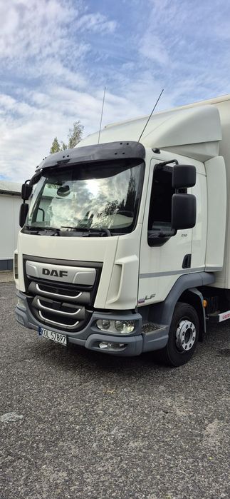 DAF