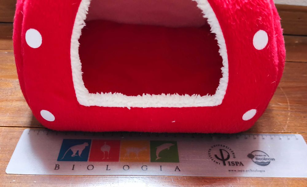 Cama para Gatinho