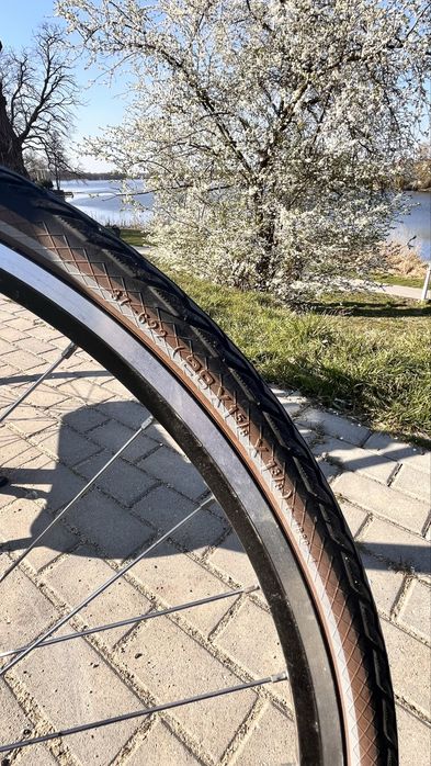 Rower Batavus allround