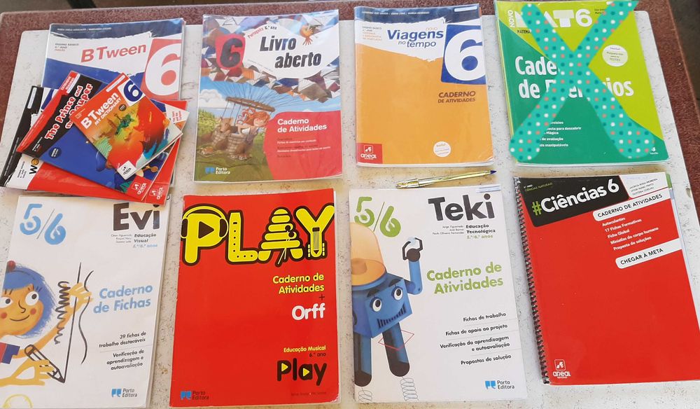 Cadernos de atividades e alguns manuais