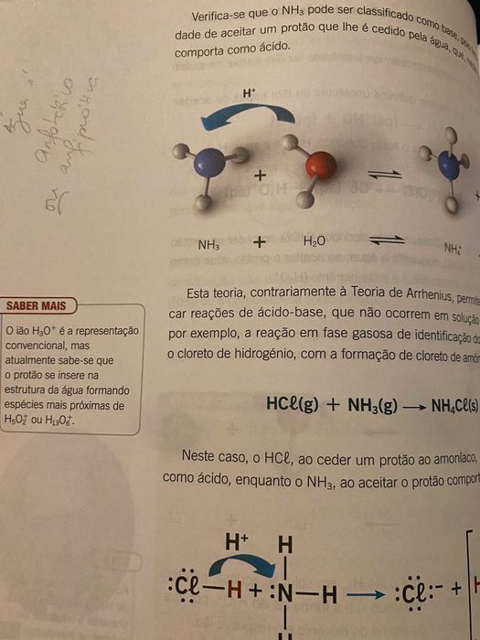 Manual + Caderno de Atividades "Química entre nós 11º"