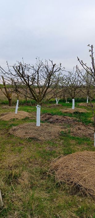 Продам будинок  терміново, торг.