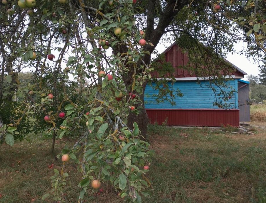 Продаж будинку 35 м кв, участків 25-34 сотк