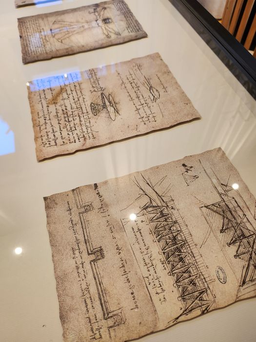 Ikea Olunda obraz Leonardo da Vinci