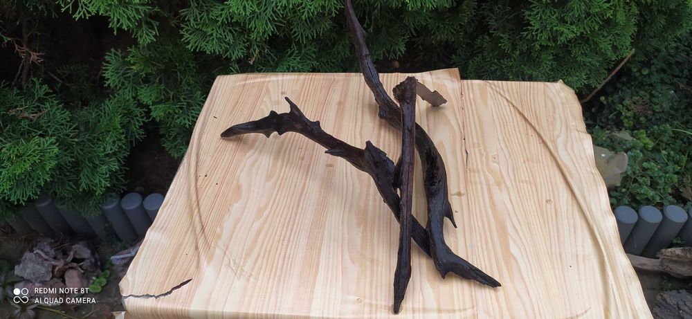 Trzy korzenie-40,31,31 cm