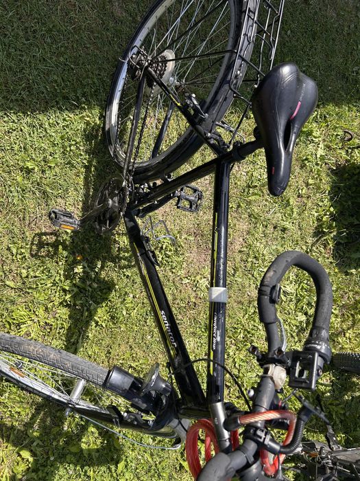 Rower męski senator 28’’