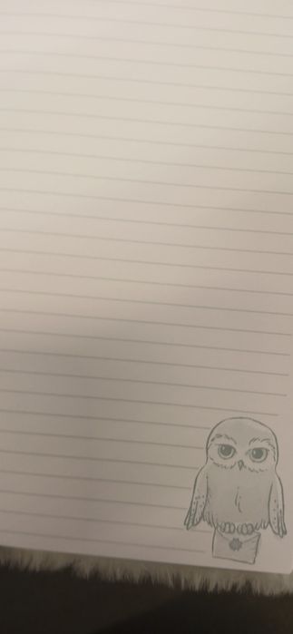 Caderno do Harry Potter