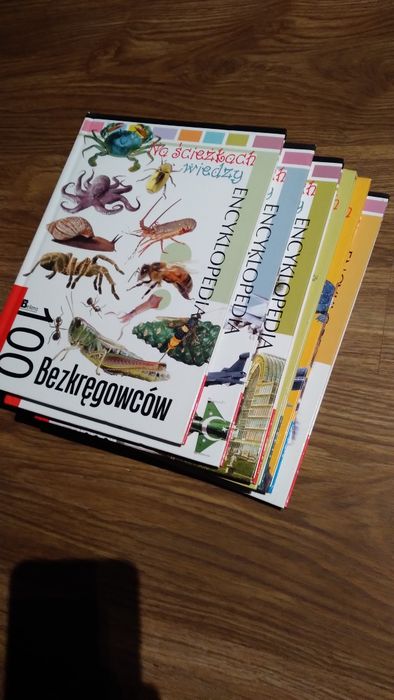 Zestaw 6 książek używanych w dobrym stanie.