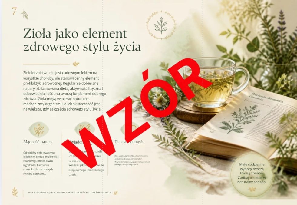 Plakaty, E-booki  Prezentacje – Canva, Przeróbka Zdjęć!