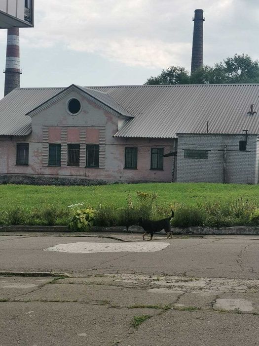 АТ «СМОЛИ» (виробництво пластмас у первинних формах)
