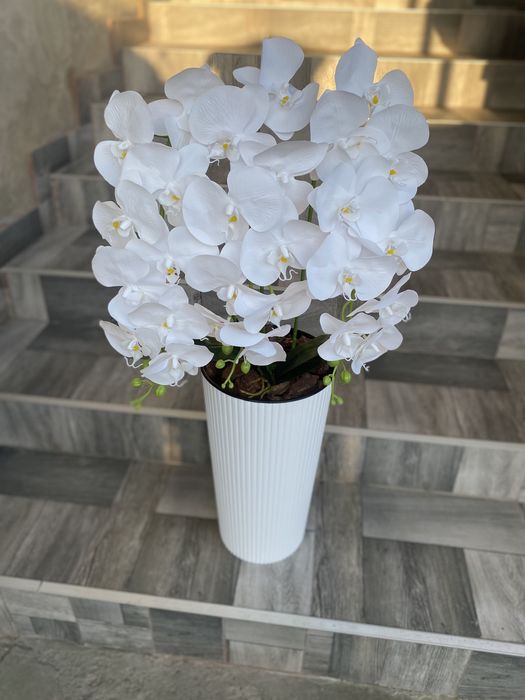 Латексна орхідея