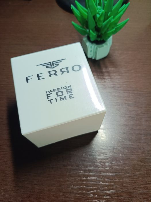 Часы FERRO FM31920A-E