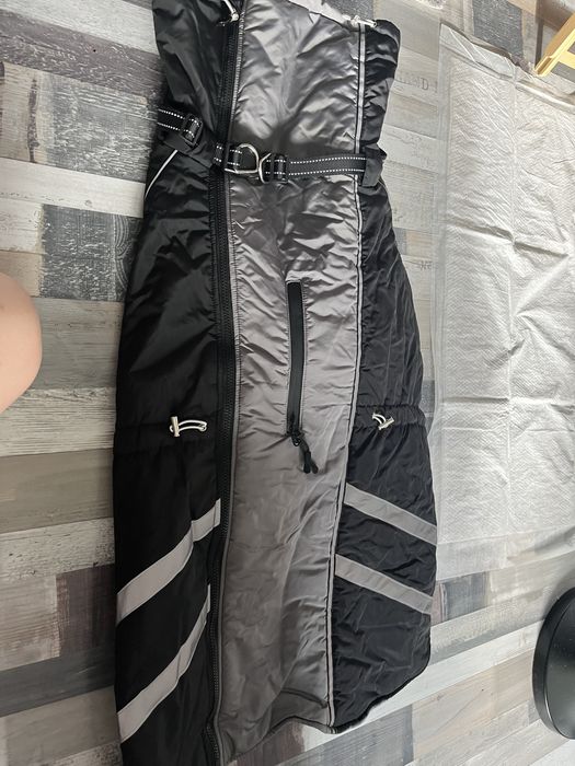 Собачий зимовий одяг