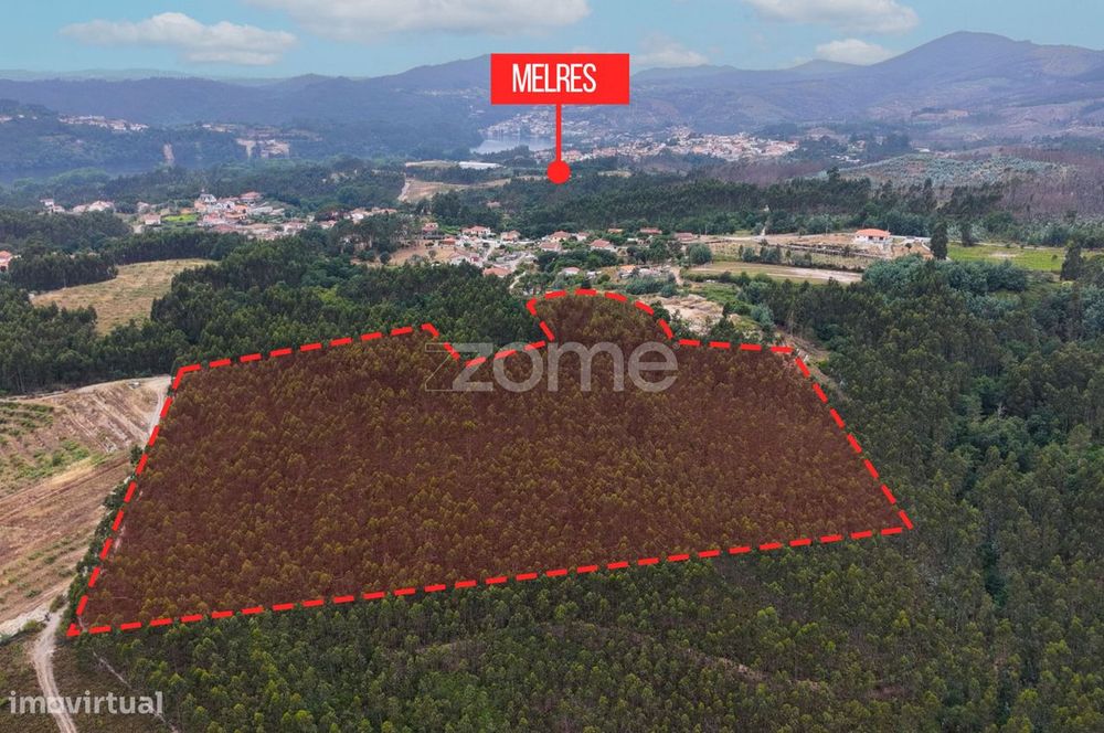 Terreno florestal urbanizável com 45.200 m2 - Melres, Gondomar