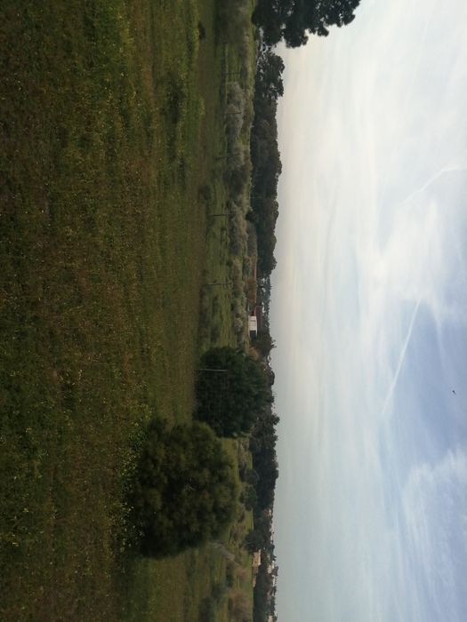 Terreno, Salgados, Guia