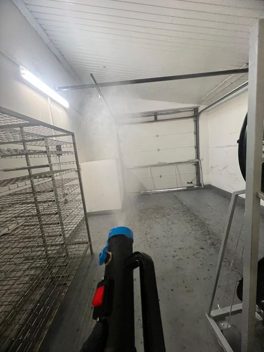 Skuteczna Dezynsekcja Deratyzacja - Prusaki Pluskwy Karaluchy Warszawa
