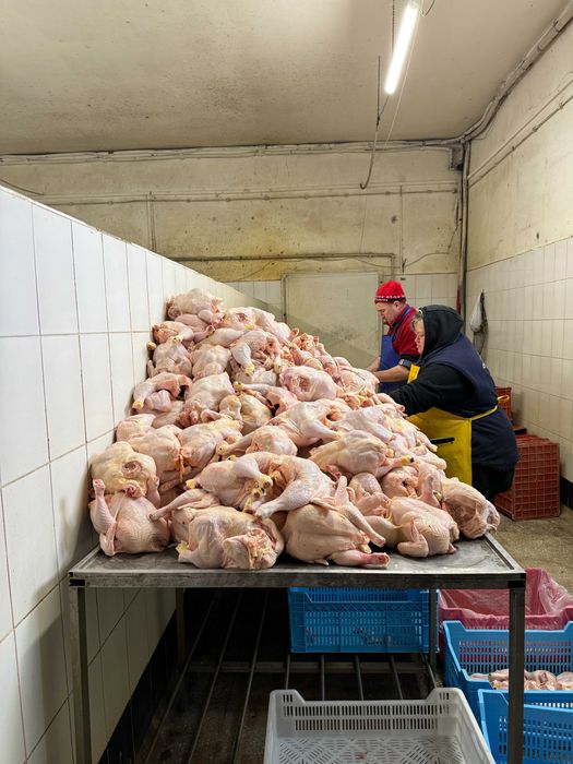 Продаж діючого м’ясопереробного комплексу ТМ «Тучинські ковбаси»