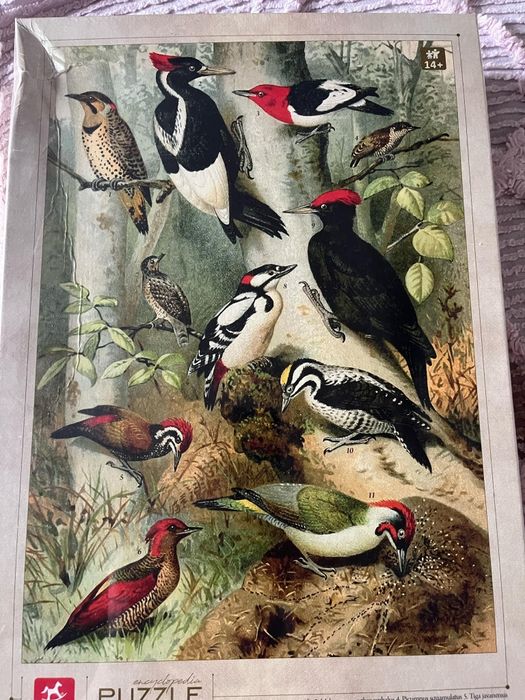 Puzzle Ptaki 1000 sztuk we folii