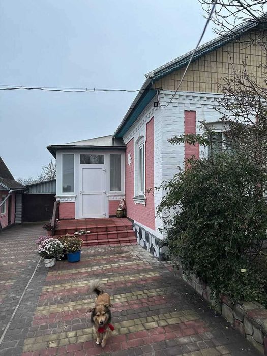 Продам будинок і ділянку 40с у селищі Дашів 1082