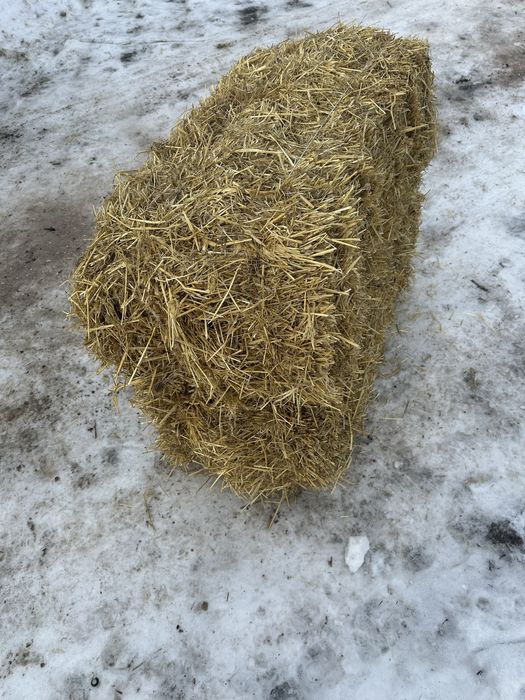 Солома ячнева в тюках