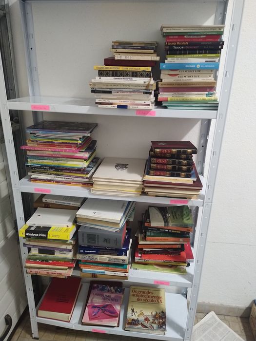 Lote de livros varias temáticas