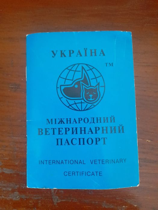 Продам Хаскі кобля