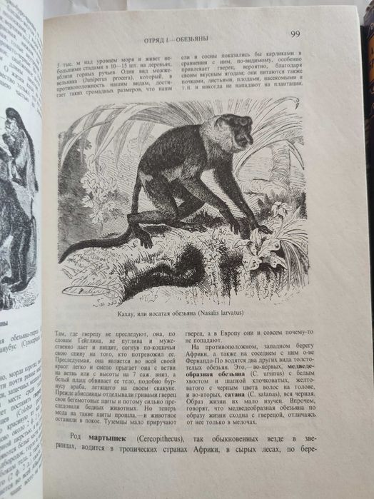 Брем Жизнь животных Том 1 + Том 2