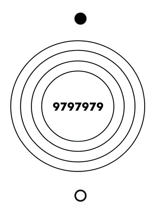 Caderno completo de biometros e gráficos radiestésicos