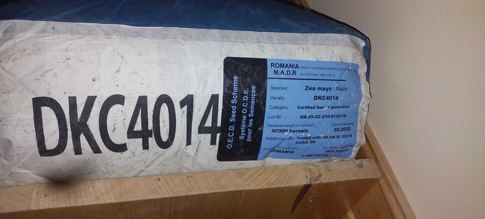 насіння кукурудзи