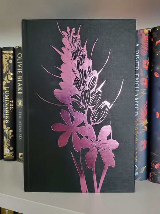 Illumicrate The whispering dark