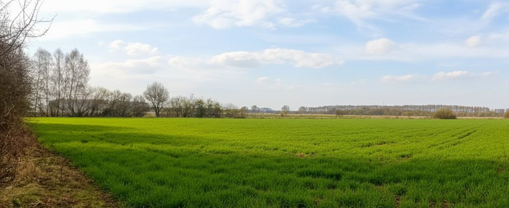 Działka rolna z warunkami zabudowy