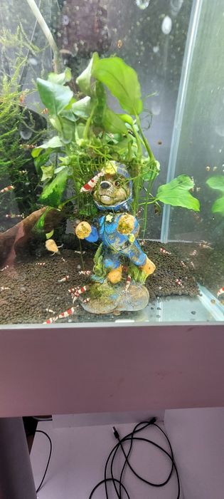 Ozdoba Akwariowa Chase z Anubiasem, Psi Patrol.