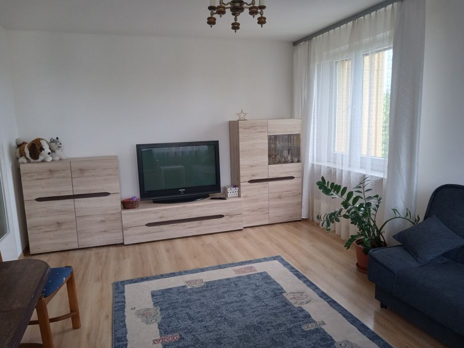 Pokój 1 osoby dla studentki