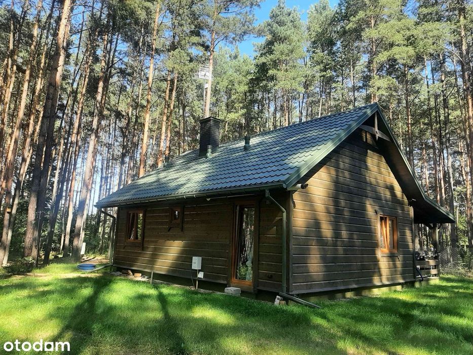 Całoroczny dom drewniany z widokiem na las