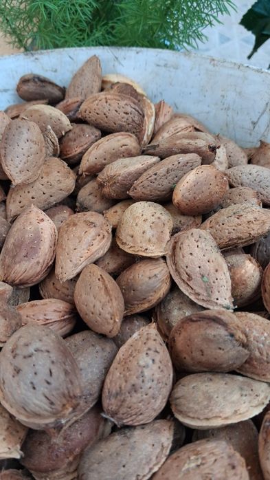 AMÊNDOA com casca — 2€/KG
