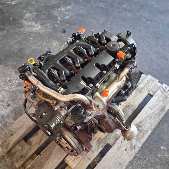 Silnik 2.0 D D4204T Volvo S40 S60 S80 C30 C70 V50 123TKM Kompletny