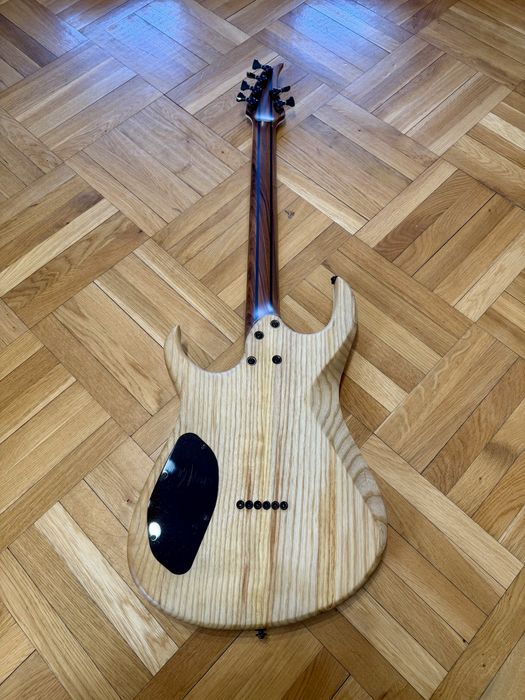 Gitara BLACKAT 6, Seymour Nazgul Sentient