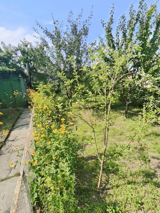 Продам пол дома Диевка-1