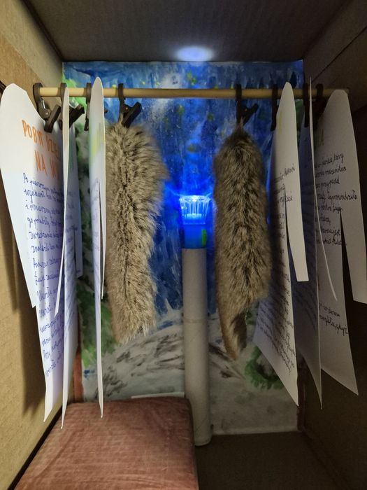Szafa z kartonu Narnia