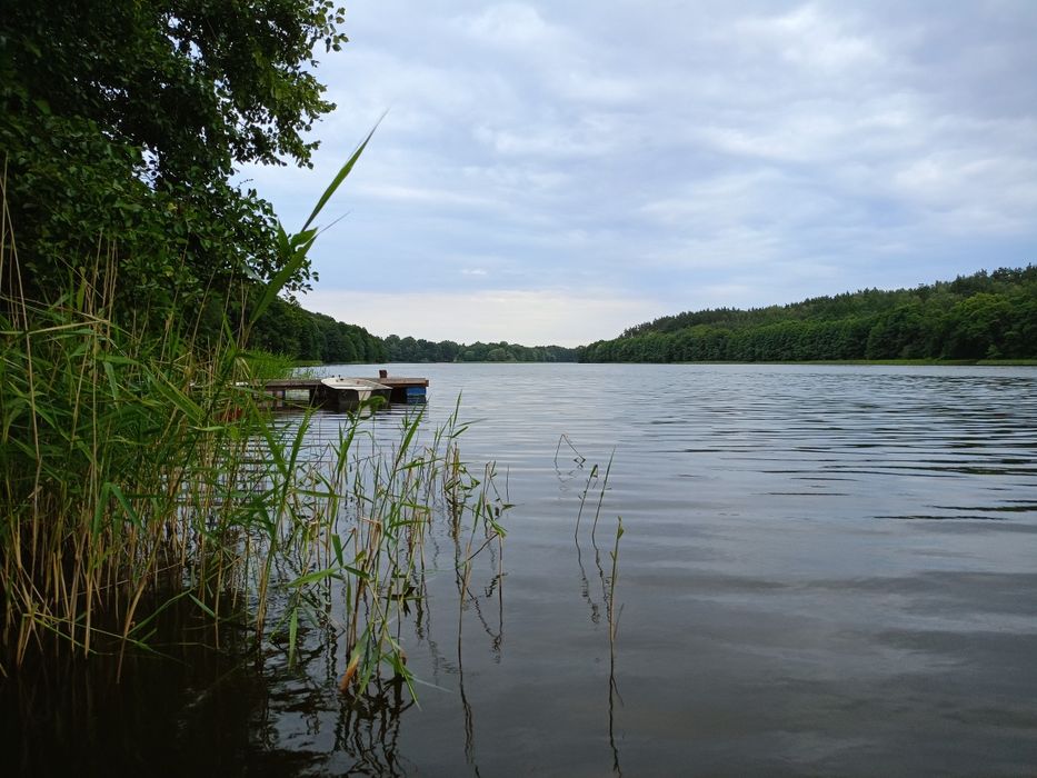 Wynajmę domek letniskowy nad jeziorem jacuzzi las 6 os. k. Iławy