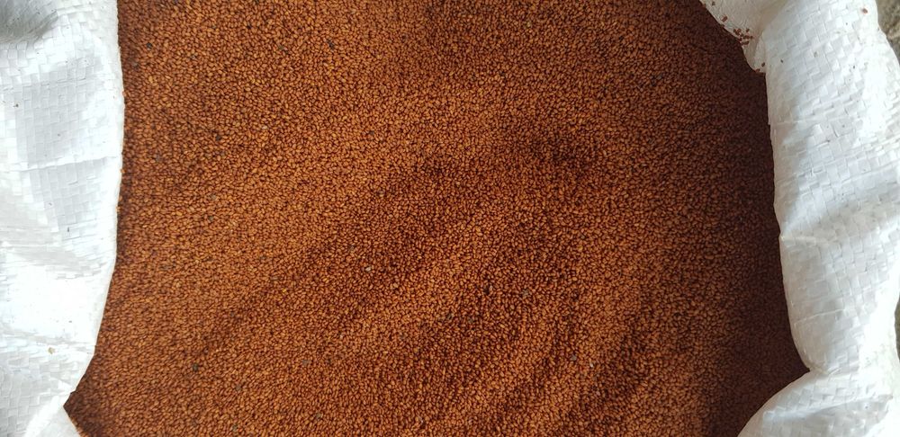 Lnianka, Lnicznik, Olej Rydzowy, Czystość 99% Bardzo dobra na Olej