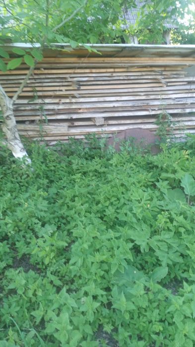 Крокви і дошки з ялини