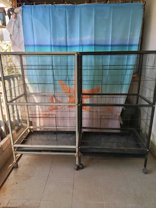 Entrego a quem vier buscar, pelo preço negociável