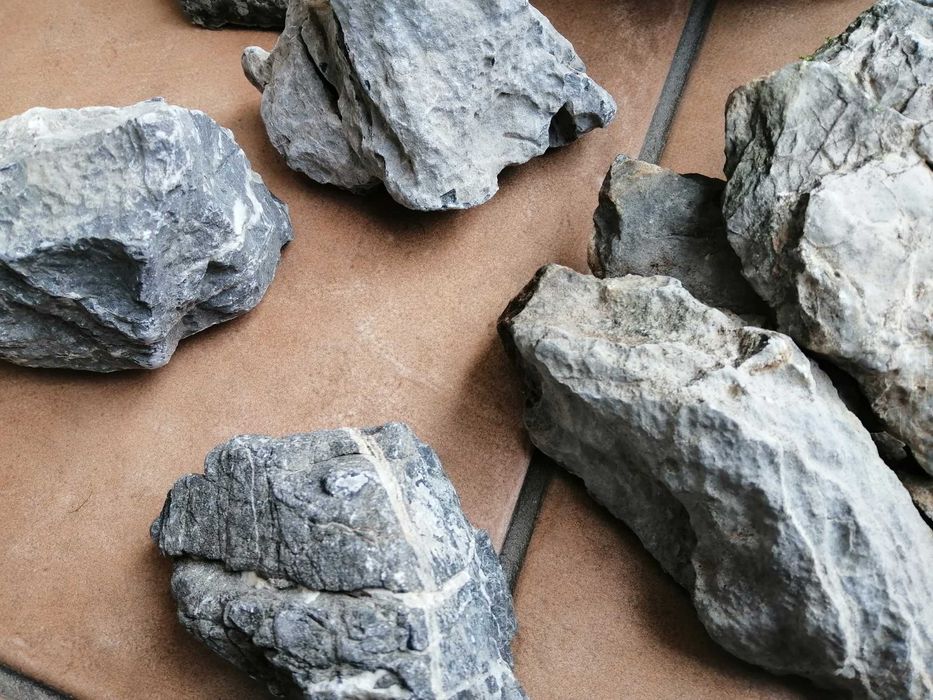 Canyon Ryohux aquascaping