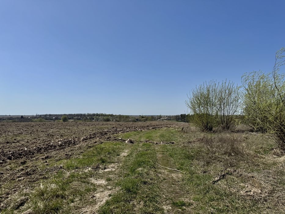 Земельна ділянка 13 га! с.Рикунь Вишгородський рн!