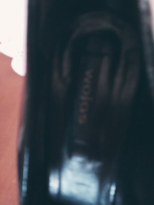 Czulenka czarne Wojas 38 lakier cale