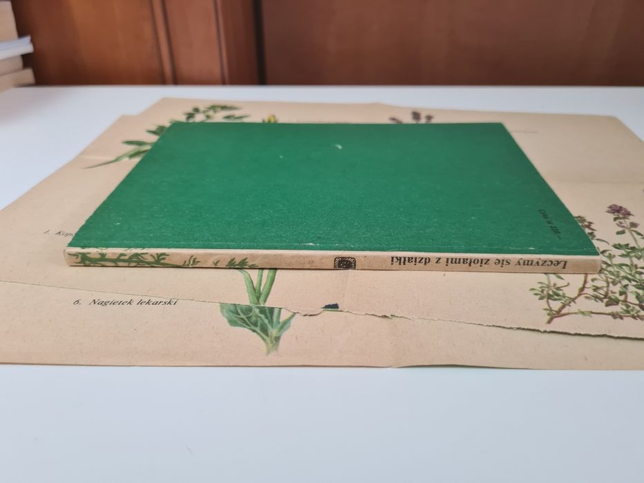 Leczymy się ziołami z działki + GRATIS - Danuta Tyszyńska-Kownacka