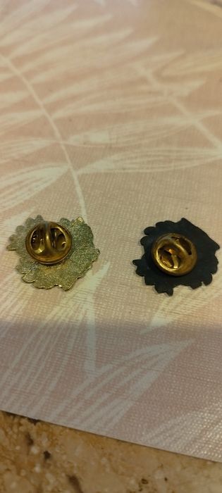 Pins Boavista futebol clube