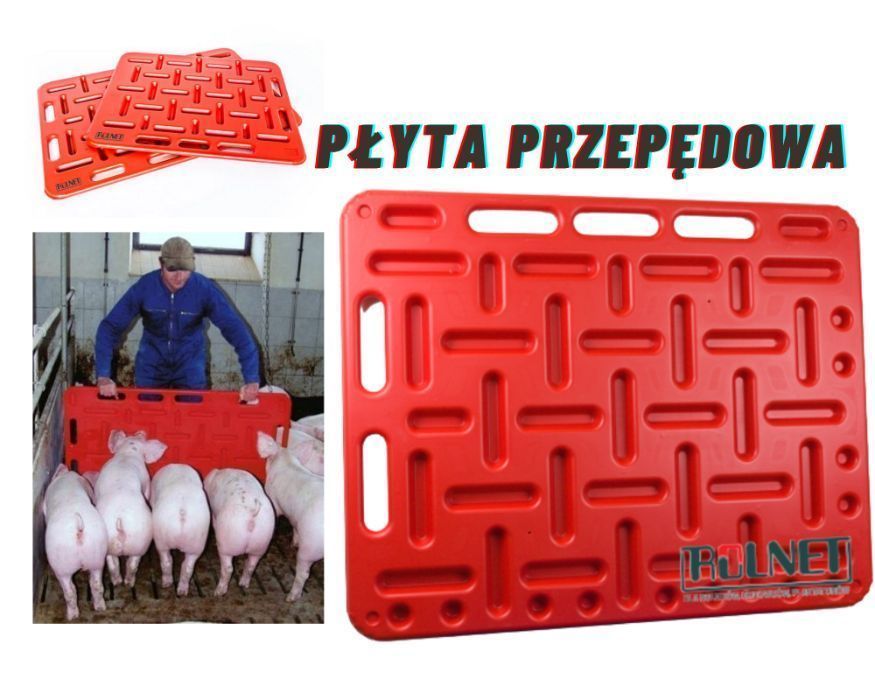 płyta przepędowa dla świń 126x76 cm